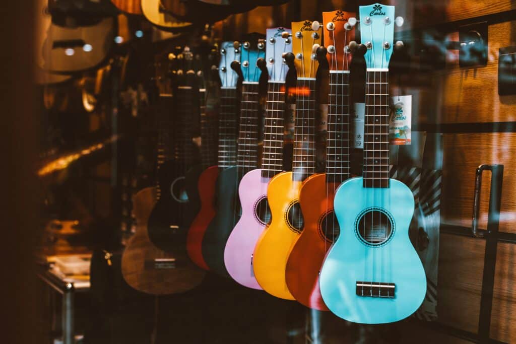 guitar in the store