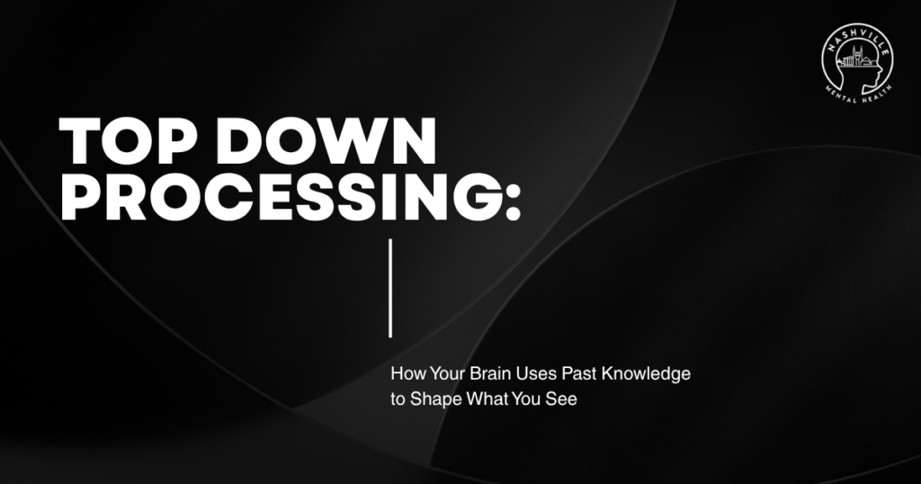 Dark abstract hero with the title 'Top Down Processing:' and subtitle about past knowledge shaping perception; Nashville Mental Health logo in the top-right corner.