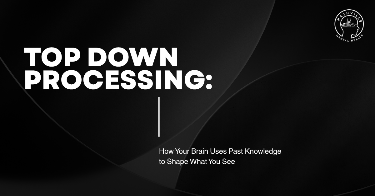 Dark abstract hero with the title 'Top Down Processing:' and subtitle about past knowledge shaping perception; Nashville Mental Health logo in the top-right corner.