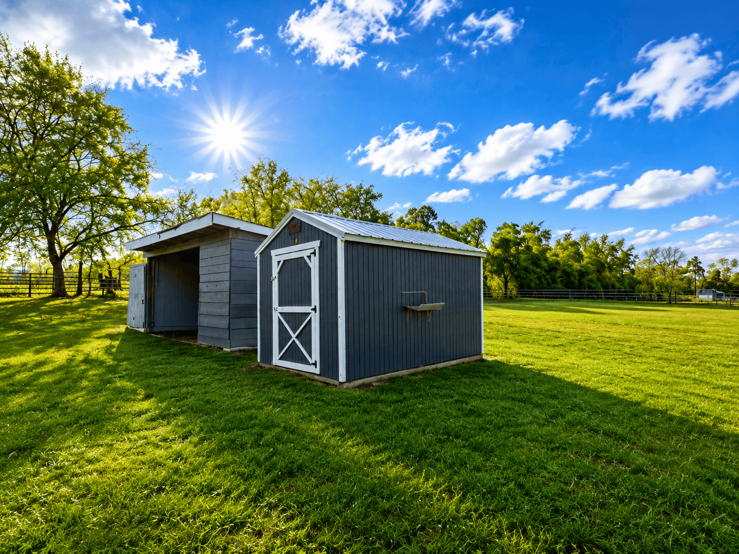 Two blue wooden sheds with white trim sit in a sunlit grassy field, trees in the background.